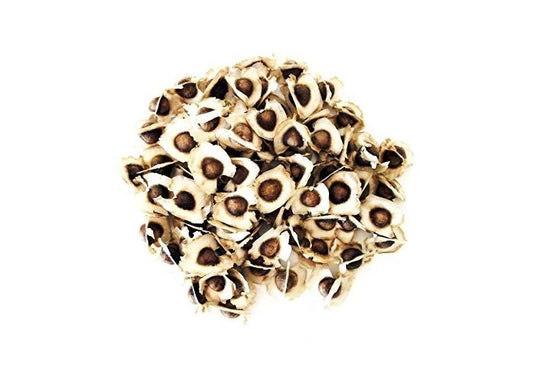 3000 Sementes Momax - Média de 1 Kg