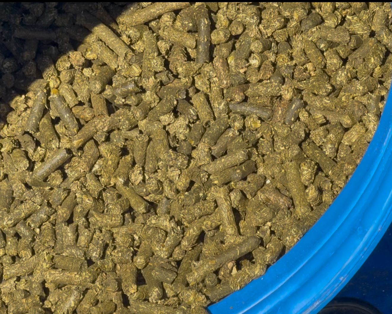 Pellet de Moringa 10 kg – Frete Grátis ⭐ Mais Vendido