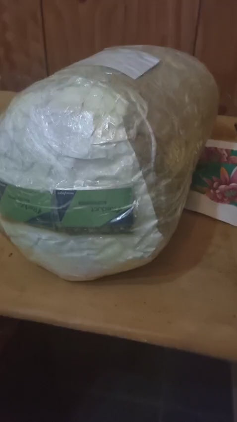 9 KG - Semente de Moringa